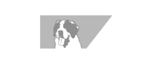 logoclientes-distribuidora-automotiva-sa-comolatti-68a6239364efb